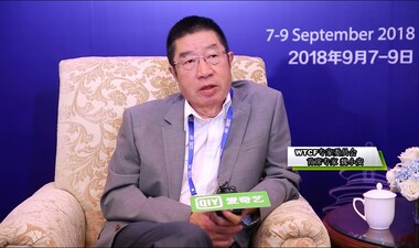 专访世界旅游城市联合会专家委员会首席专家魏小安