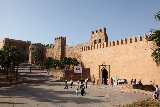 Rabat & Fez in Morocco win bid for 2015 summit