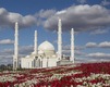 Hazret Sultan Mosque_fororder_QJ6882131562 N
