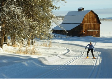 Montreal: A Place for Skiers of Various Kinds_fororder_4