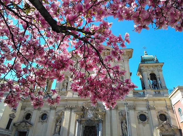 Springtime Blossoms in Milan_fororder_20220322102154690