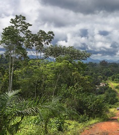 Garoua