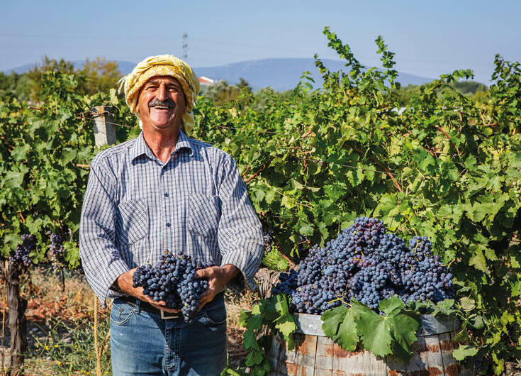 Endless Vineyards of Urla_fororder_20220414070051547