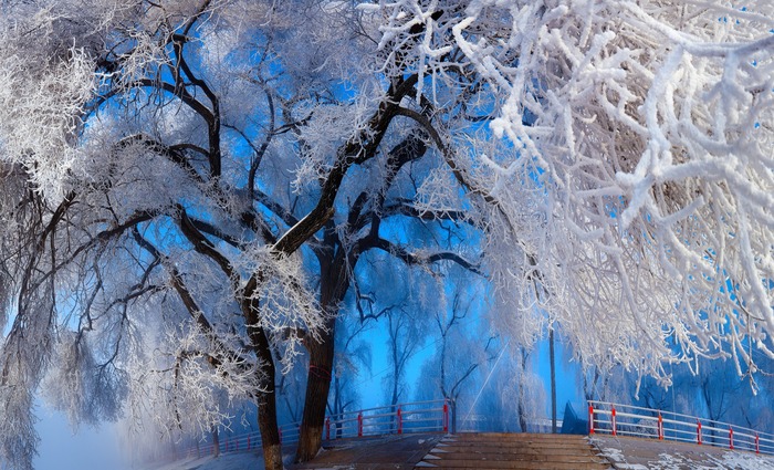 'Snow Town' Attracting Tourists to Mudanjiang