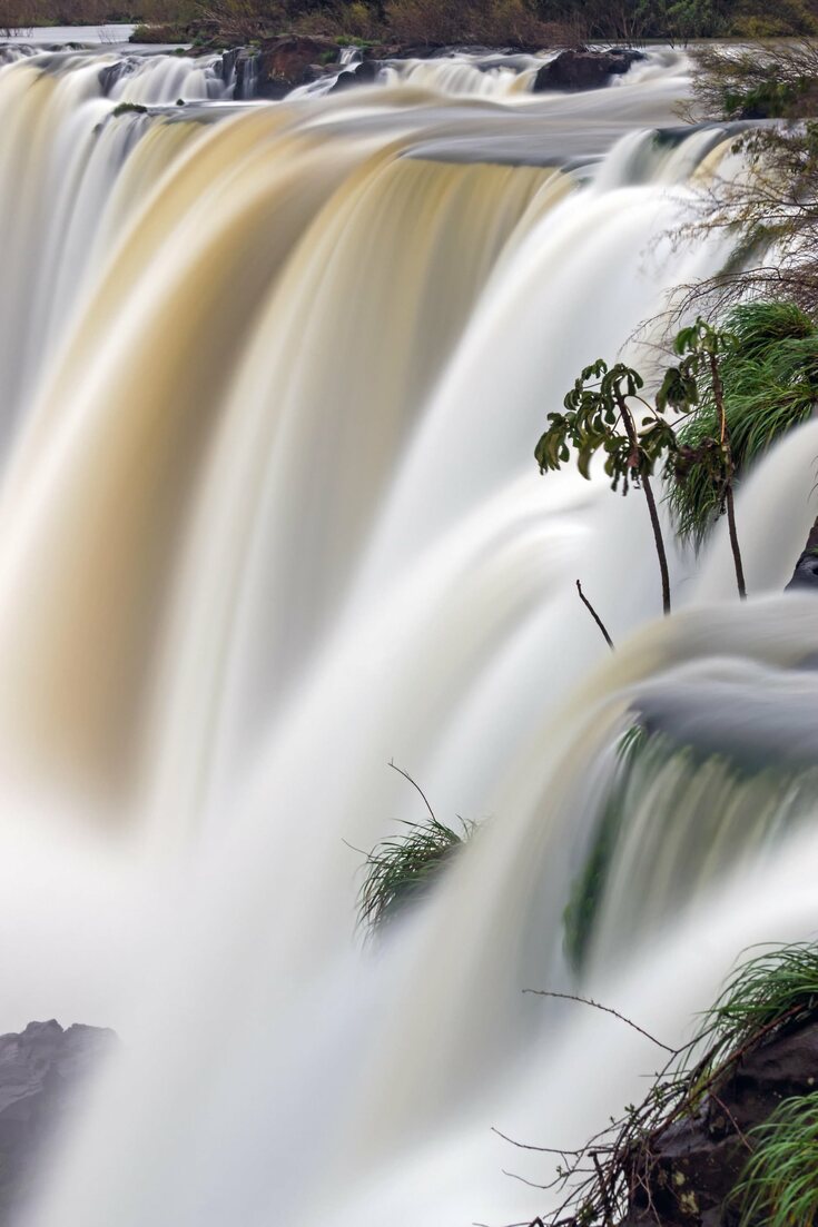 Foz do Iguaçu: 'Fairies' Fly in a Riverside Forest_fororder_QJ7221396234