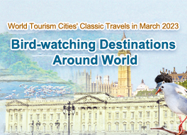 March 2022-Bird-watching Destinations Around World_fororder_264英
