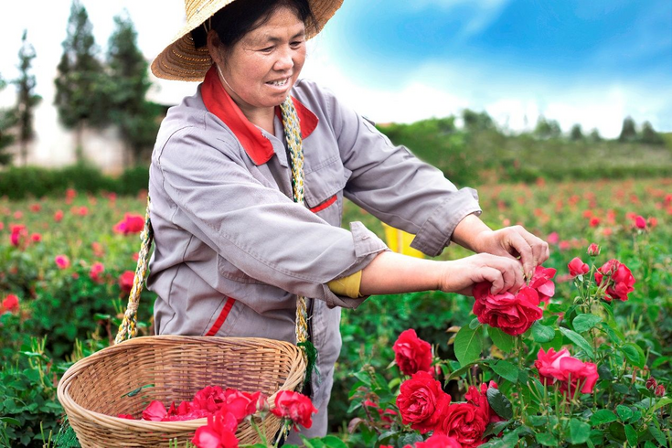 Discover Sanya: The Perfect Late April to Early May Escape_fororder_图片5