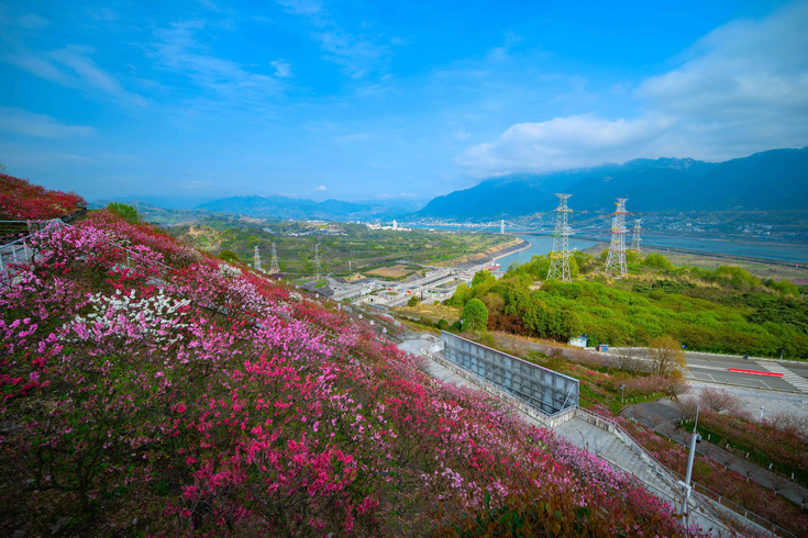 宜昌_fororder_大坝-春