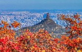 Global Connections, E-Town Tech Tours & Iconic Beijing Flavors